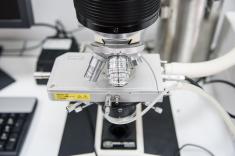 Zdjęcie przedstawiające mikroskop